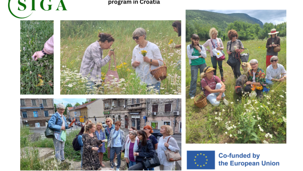 Learning from nature: a journey into wild medicinal herbs for older adults